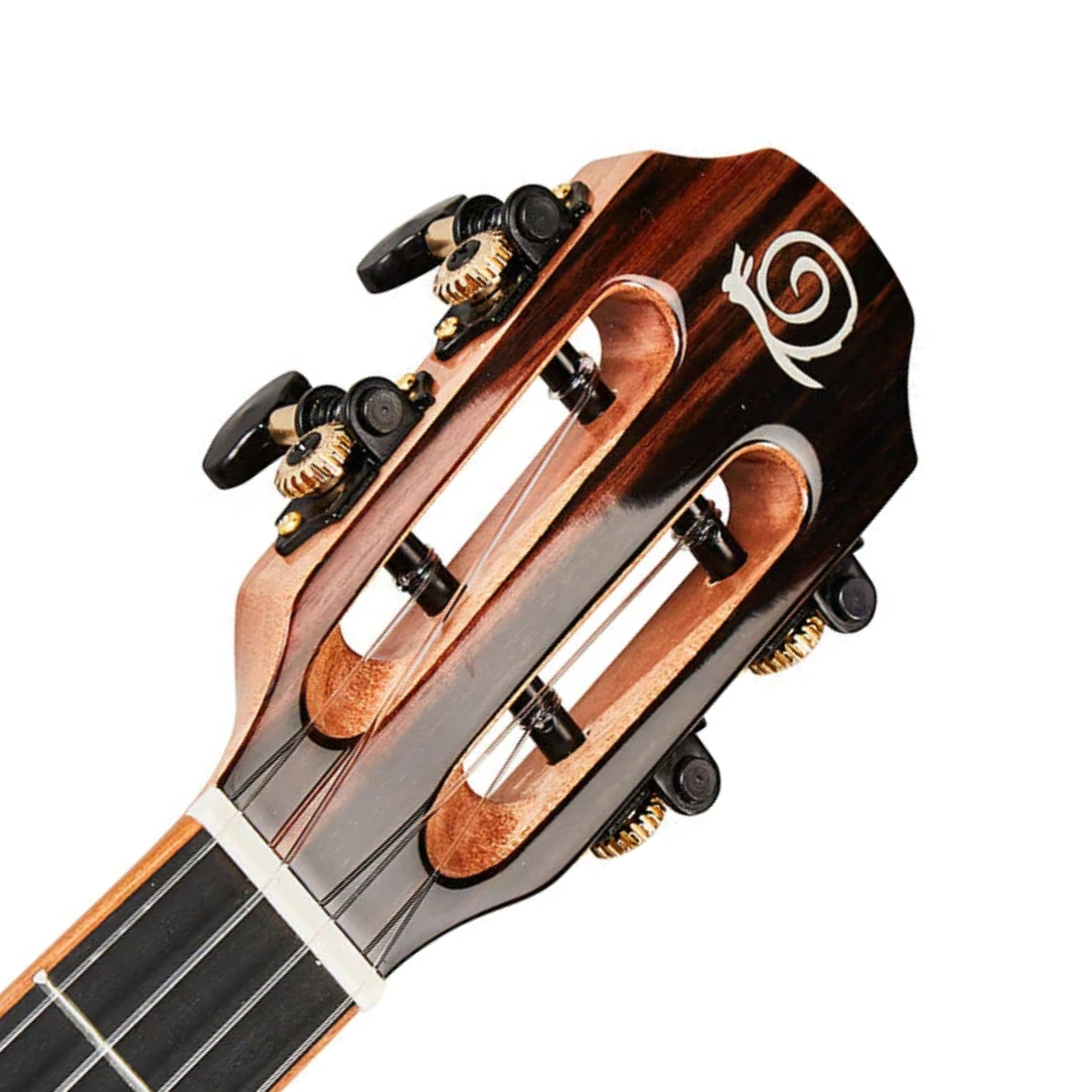 Snail BHC-5B Baritone ukulele, Spruce Top Ebony Sides - Image 2