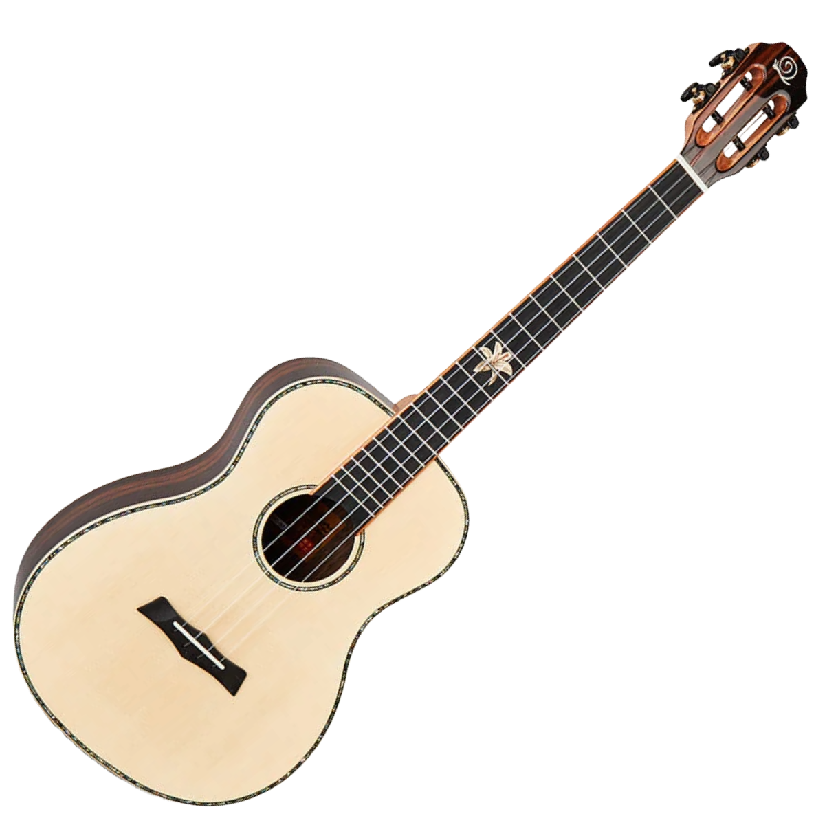 Snail BHC-5B Baritone ukulele, Spruce Top Ebony Sides