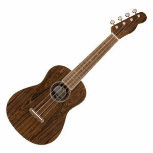 Fender Zuma Concert Ukulele, Bocote