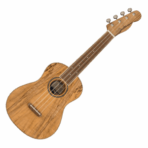 Fender Zuma Concert Ukulele, Spalted Maple